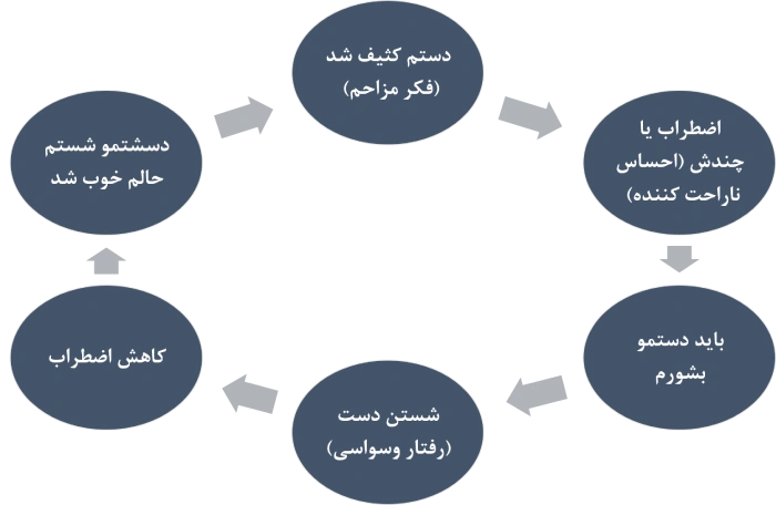 obsessive-compulsive-disorder-cycle چرخه اختلال وسواس فکری عملی
